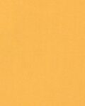 -1117Wx1400H-466729361-yellow-MODEL