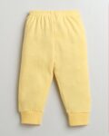 -1117Wx1400H-700738627-yellow-MODEL