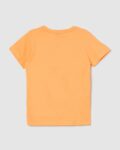 -1117Wx1400H-700630073-orange-MODEL