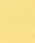 -1117Wx1400H-700726695-yellow-MODEL