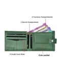 -1117Wx1400H-465327943-green-MODEL4