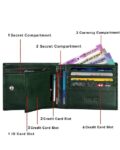 -473Wx593H-465799048-green-MODEL2
