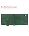 -473Wx593H-465799120-green-MODEL
