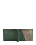 -473Wx593H-466420163-green-MODEL