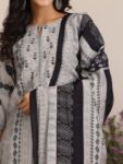 872d07af-7712-435a-88bc-1d0bbdadd28d1728657381389-Libas-Floral-Printed-Straight-Kurta-with-Salwar–Dupatta-266-1 (1)