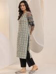 67e68c2d-26ce-4e05-9357-959355437ae01742058378697-Libas-Ethnic-Motifs-Printed-Notch-Neck-Straight-Kurta-With-T-2