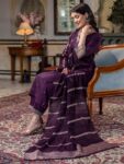 59c11833-a214-4524-a72a-81ffab52aac51743680497203-KALINI-Ethnic-Motifs-Embroidered-Sequinned-Straight-Kurta-wi-3