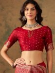 imgi_25_e05460a8-90c8-4054-82d5-43cdafbdbf0d1693651078379SensationalRedBanarasiSilkSaree-Sangria1