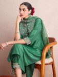 imgi_4_c32baaea-e7f0-4e5e-8514-9eca51b6c5bb1751889944171-Anouk-Floral-Embroidered-Regular-Yoke-Border-Aari-Work-Kurta-2